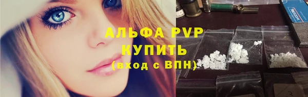 СК Арсеньев