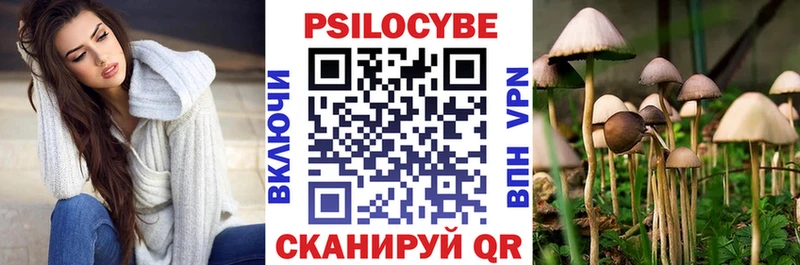 ОМГ ОМГ как зайти  где купить наркотик  Ликино-Дулёво  Псилоцибиновые грибы Psilocybine cubensis 